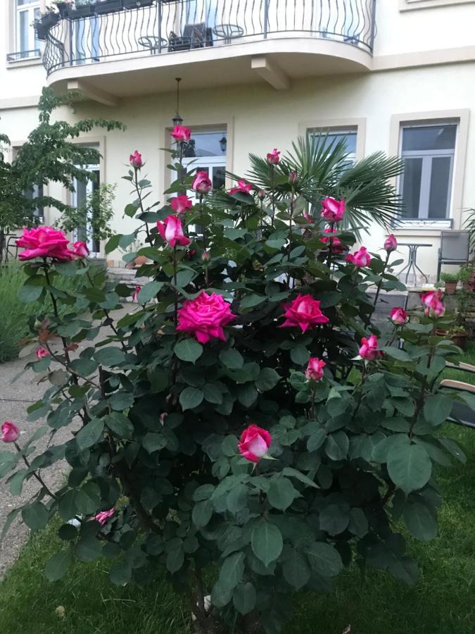 Aurelia Rooms Mostar Dış mekan fotoğraf